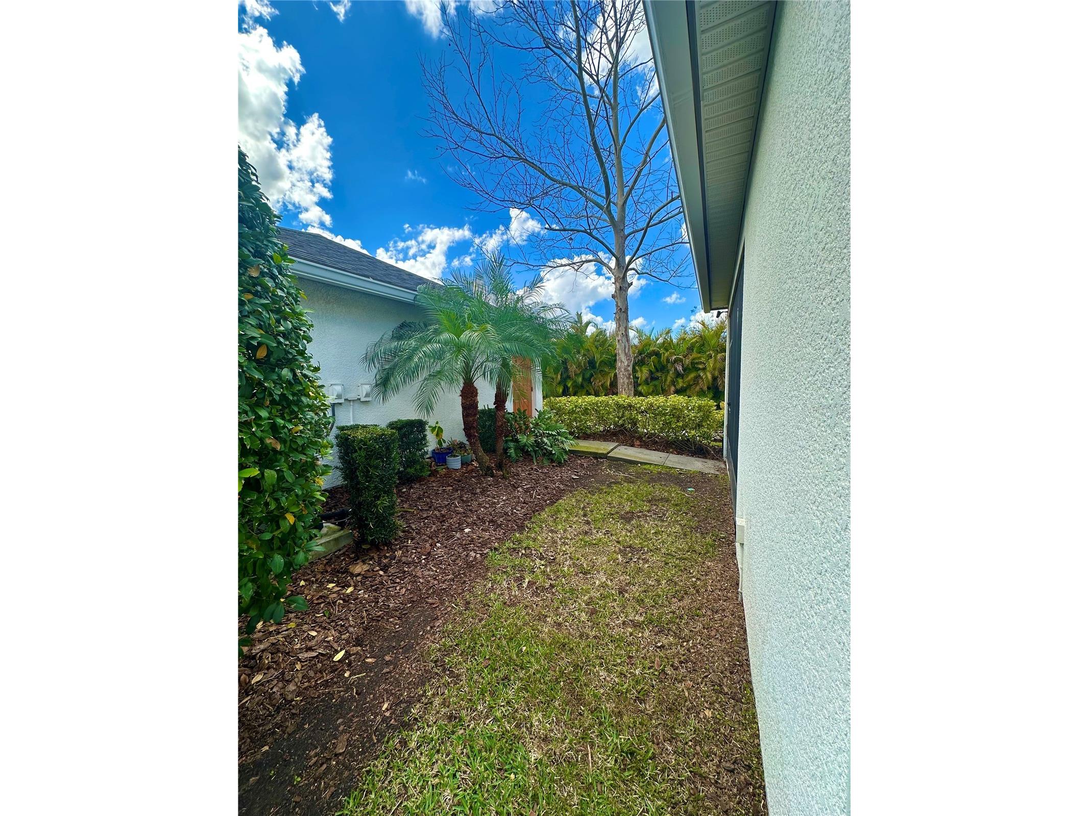 7147 Bowspirit Place Apollo Beach FL 33572 TB8429772 image27