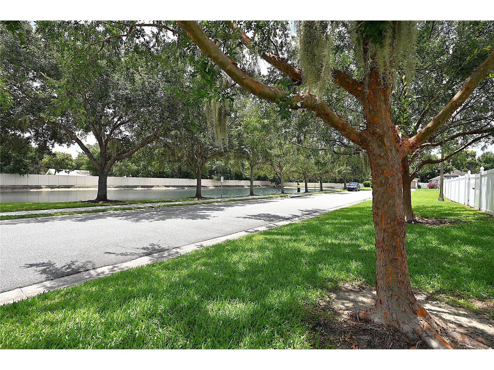 7147 Cedarcrest Boulevard Lakeland FL 33810 L4963340 image53