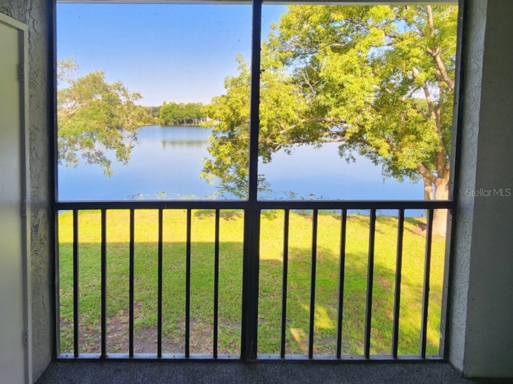 7148 E Bank Drive #7148 Tampa FL 33617 TB8401803 image12