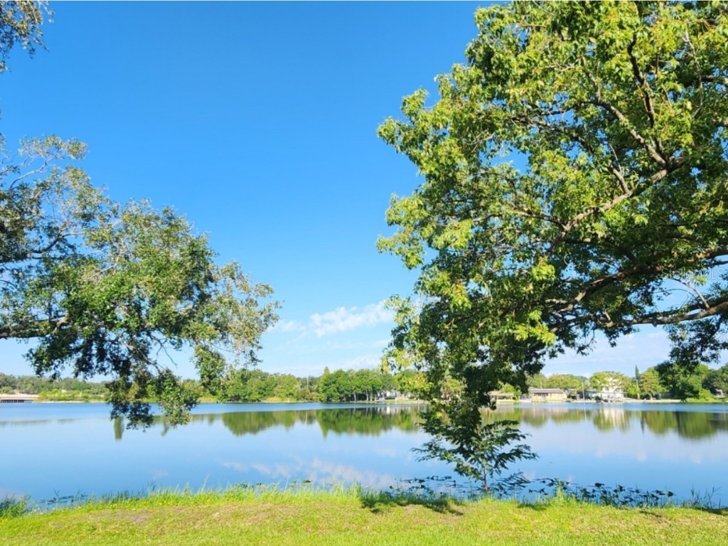 7148 E Bank Drive #7148 Tampa FL 33617 TB8401803 image13