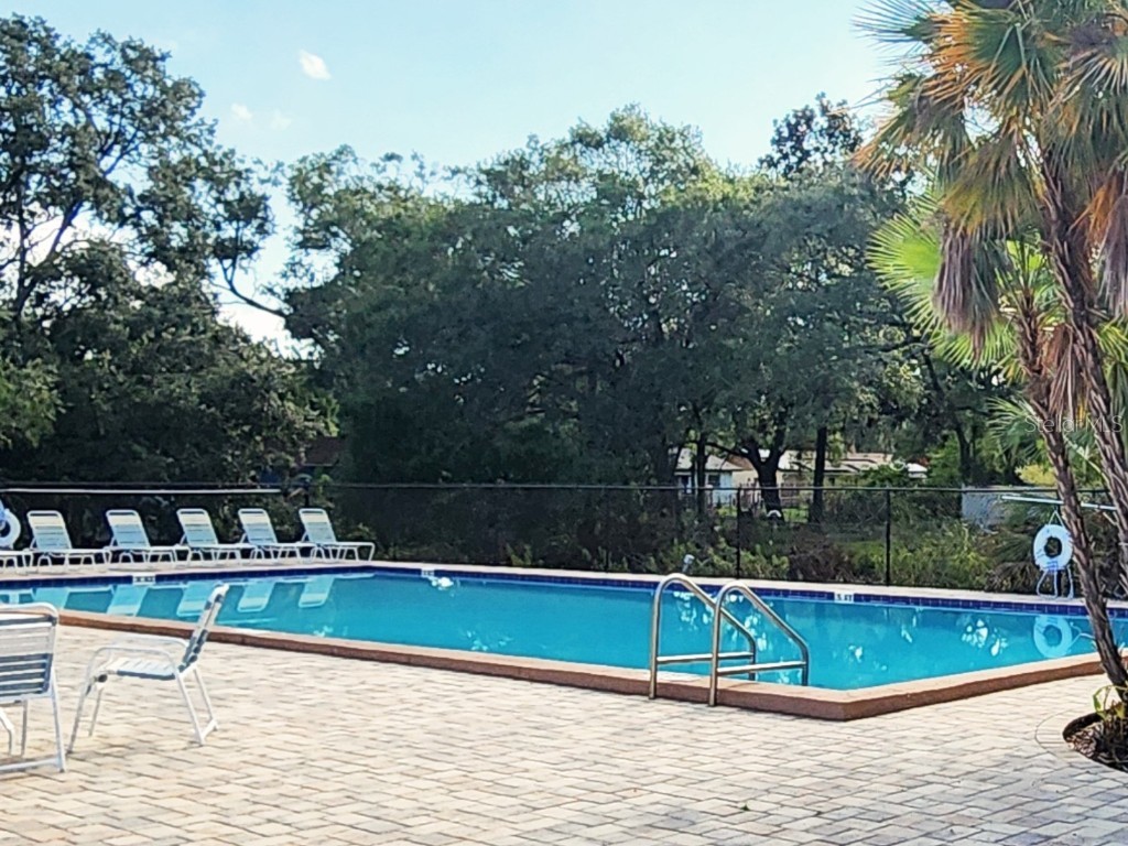 7148 E Bank Drive #7148 Tampa FL 33617 TB8401803 image21