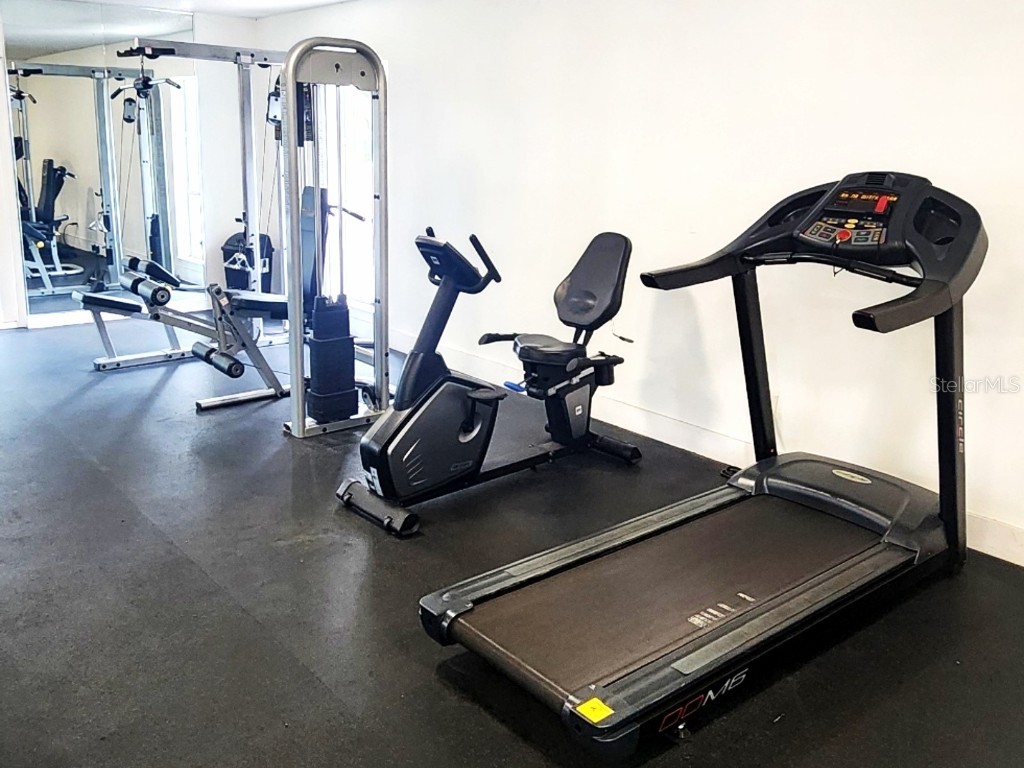 7148 E Bank Drive #7148 Tampa FL 33617 TB8401803 image24