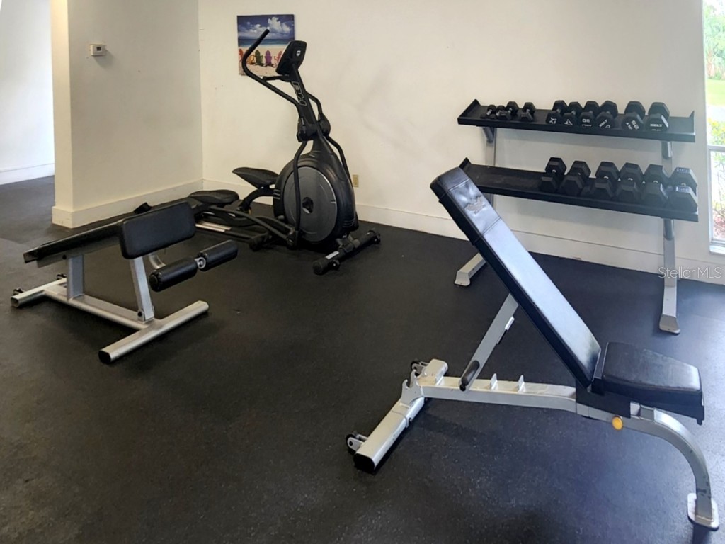 7148 E Bank Drive #7148 Tampa FL 33617 TB8401803 image25