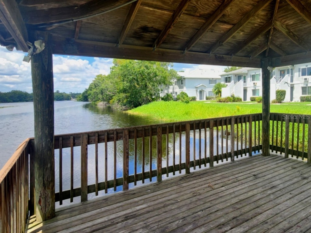 7148 E Bank Drive #7148 Tampa FL 33617 TB8401803 image26