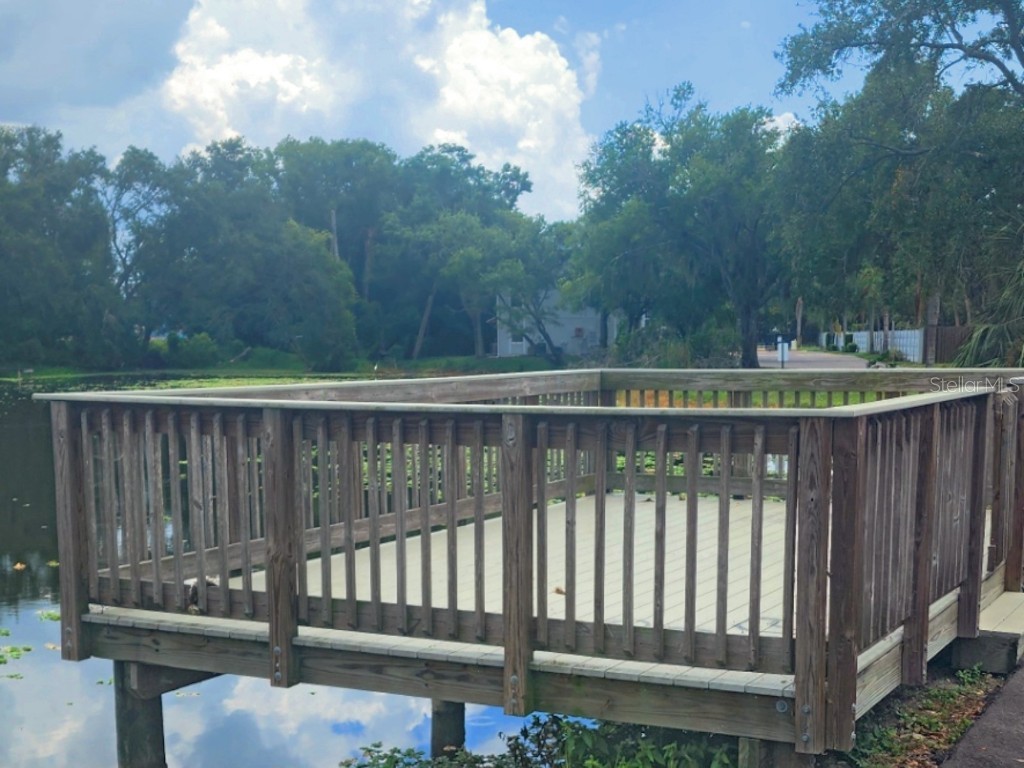 7148 E Bank Drive #7148 Tampa FL 33617 TB8401803 image27