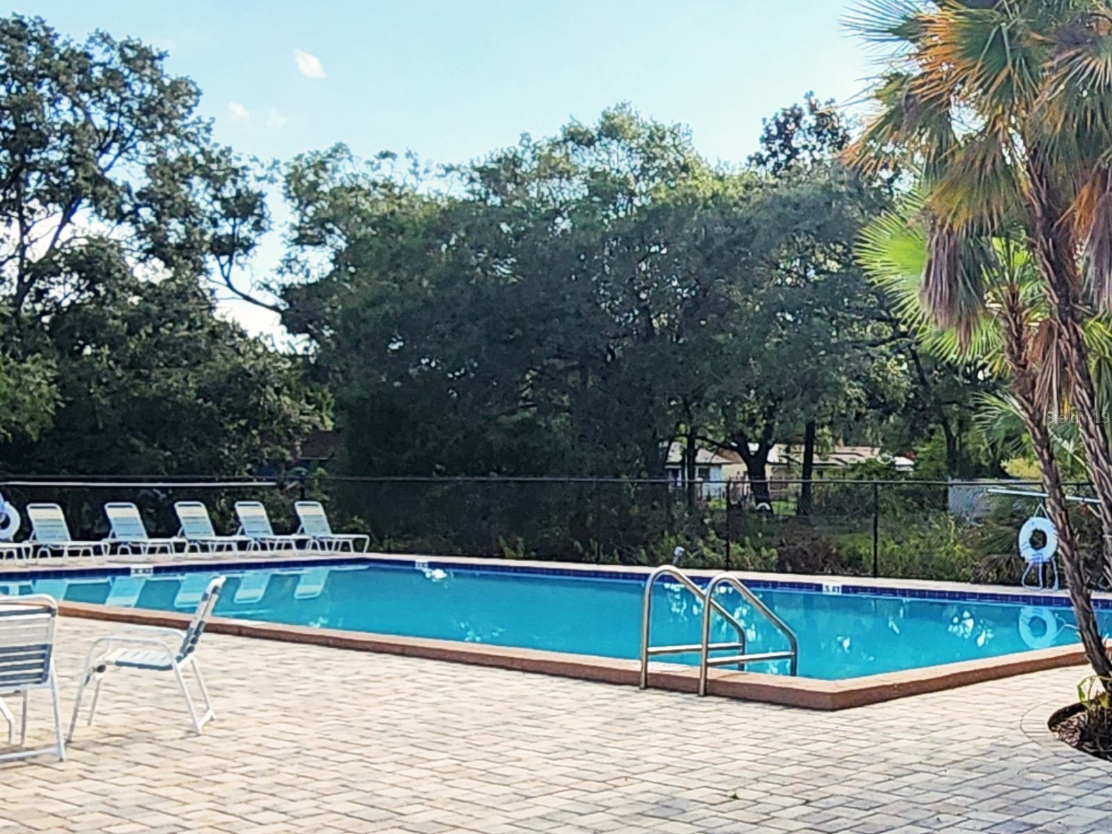 7148 E Bank Drive Tampa FL 33617 TB8401803 image21