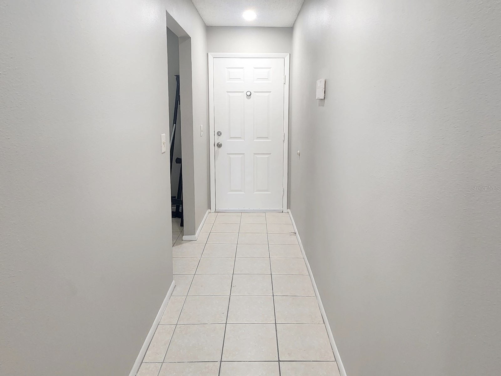7148 E Bank Drive Tampa FL 33617 TB8401803 image3