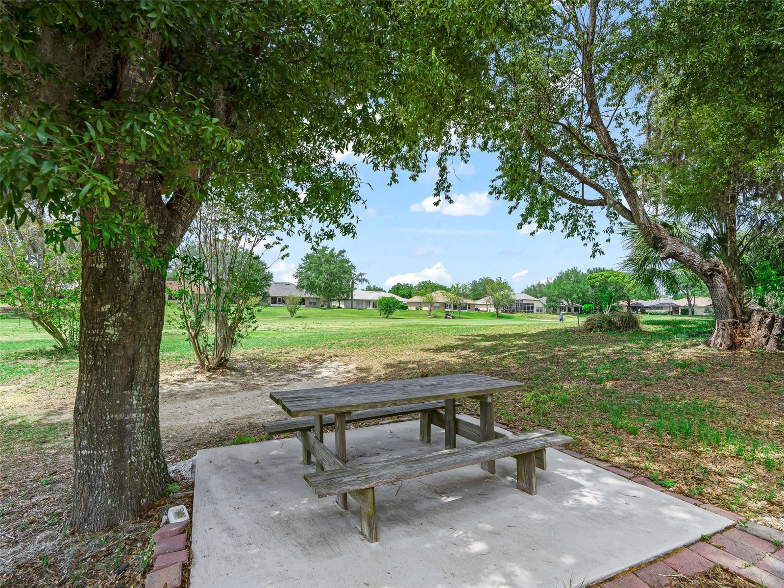 7149 Crested Orchid Drive Brooksville FL 34602 TB8497642 image38