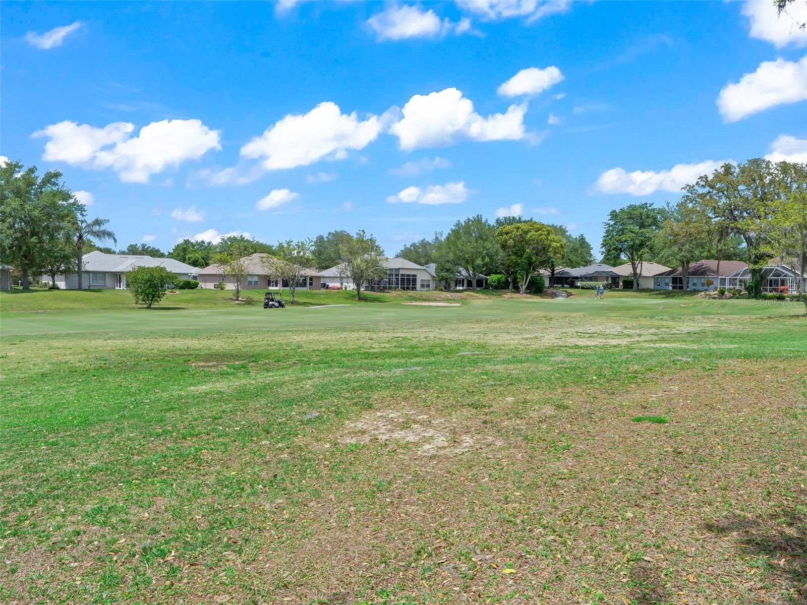 7149 Crested Orchid Drive Brooksville FL 34602 TB8497642 image39