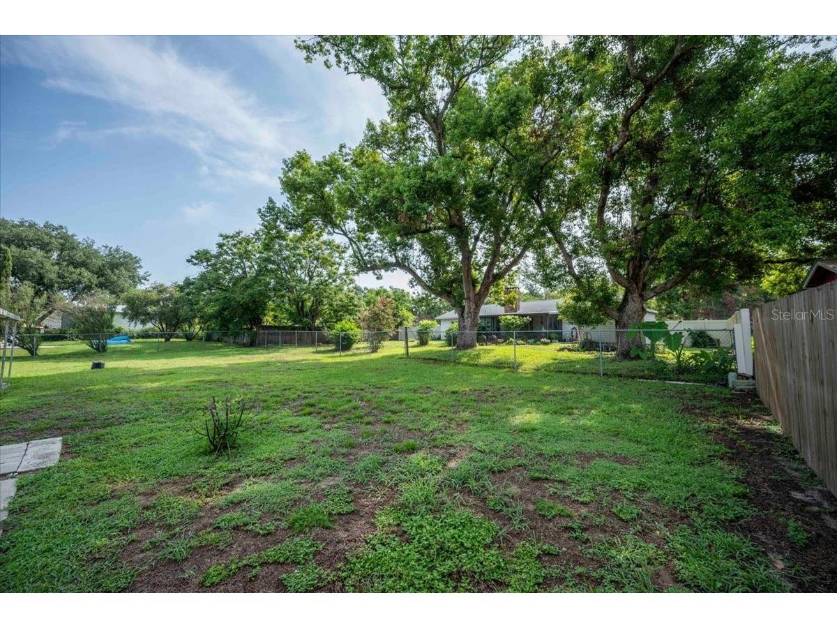 7149 Orange Way Lakeland FL 33810 L4963292 image24