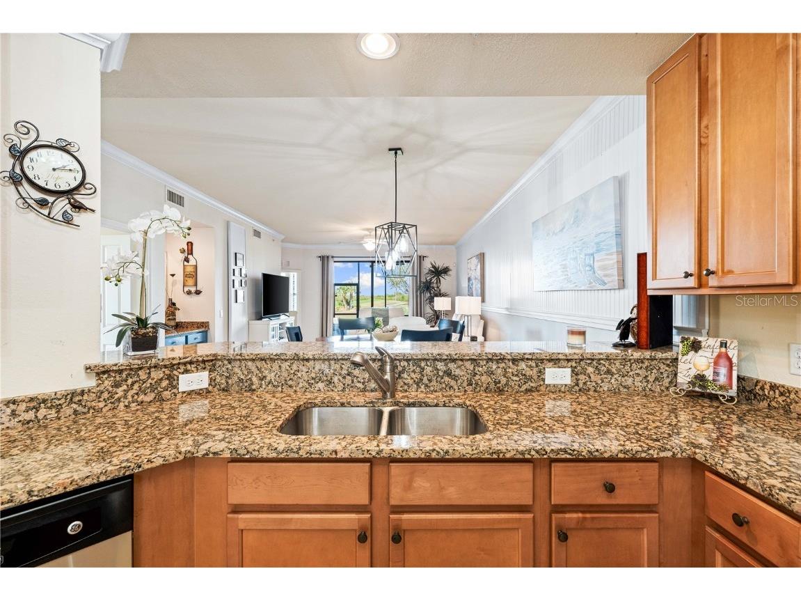 7149 River Hammock Drive #101 Bradenton FL 34212 A4669277 image22