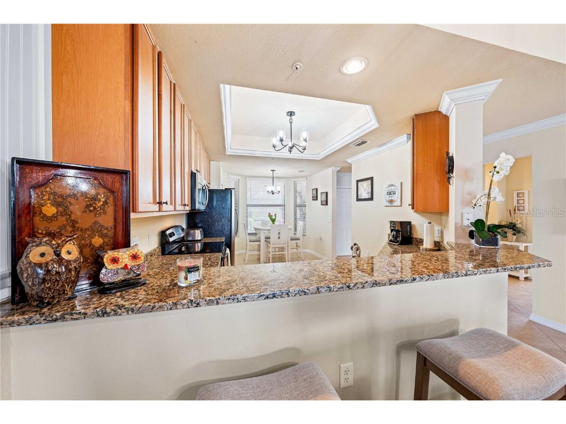 7149 River Hammock Drive #101 Bradenton FL 34212 A4669277 image6