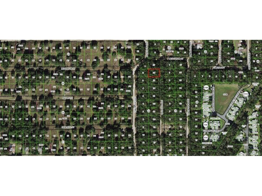 715 Dalwood Avenue Inverness FL 34453 OM680546 image1