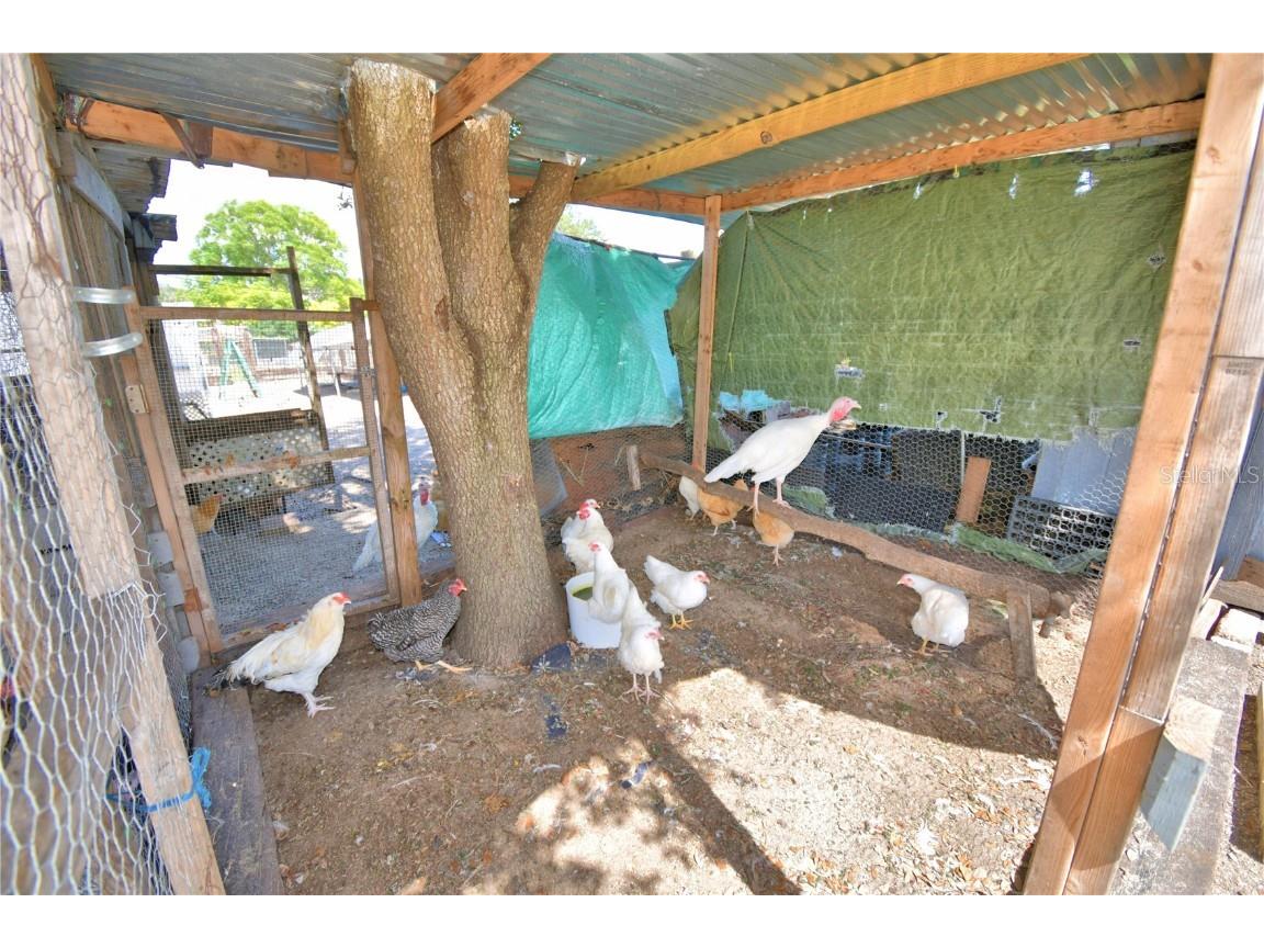 715 Fazzini Road Babson Park FL 33827 P4936590 image67