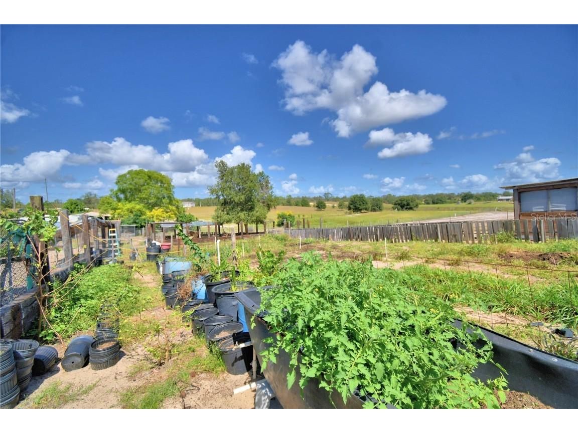 715 Fazzini Road Babson Park FL 33827 P4936590 image73