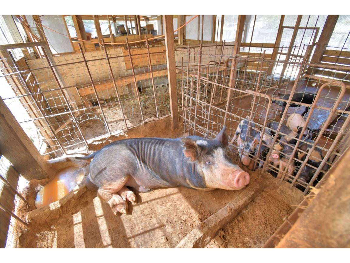 715 Fazzini Road Babson Park FL 33827 P4936590 image77