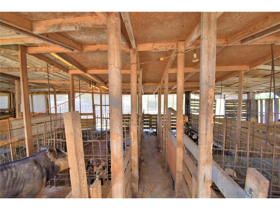 715 Fazzini Road Babson Park FL 33827 P4936590 image79