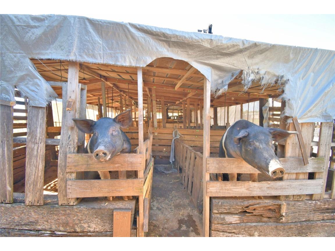 715 Fazzini Road Babson Park FL 33827 P4936590 image80