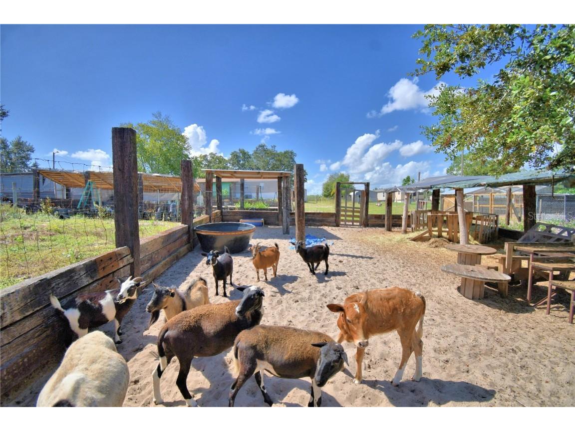 715 Fazzini Road Babson Park FL 33827 P4936590 image85