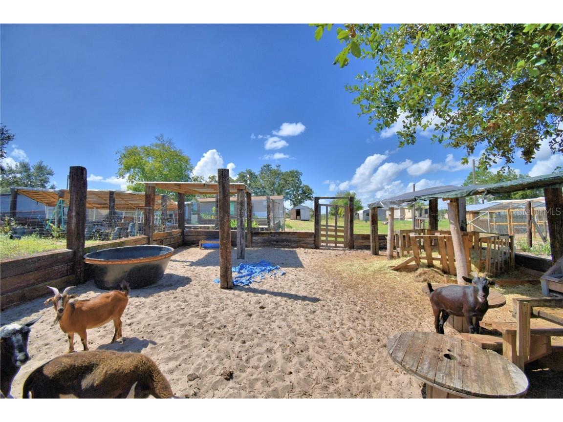 715 Fazzini Road Babson Park FL 33827 P4936590 image86