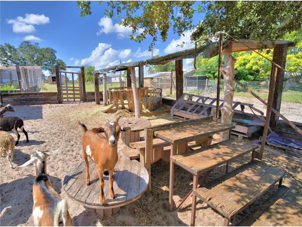 715 Fazzini Road Babson Park FL 33827 P4936590 image89