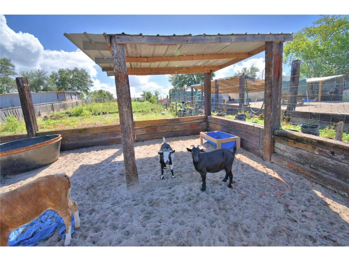 715 Fazzini Road Babson Park FL 33827 P4936590 image90