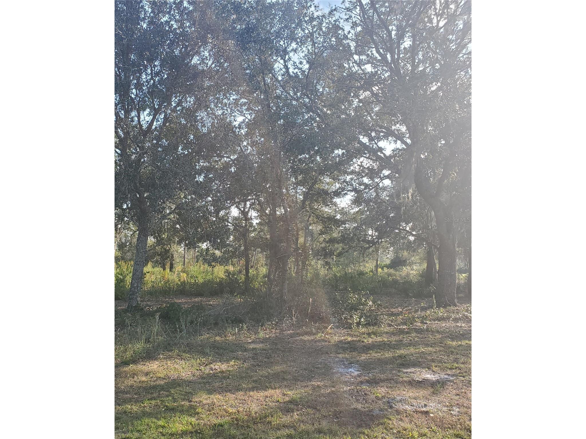 715 Indian Lake Drive Indian Lake Estates FL 33855 TB8514532 image1