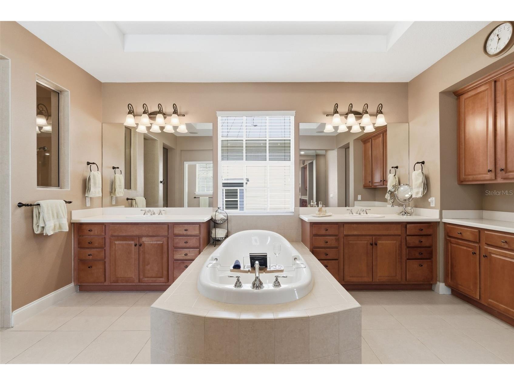 715 Islebay Drive Apollo Beach FL 33572 TB8489276 image43