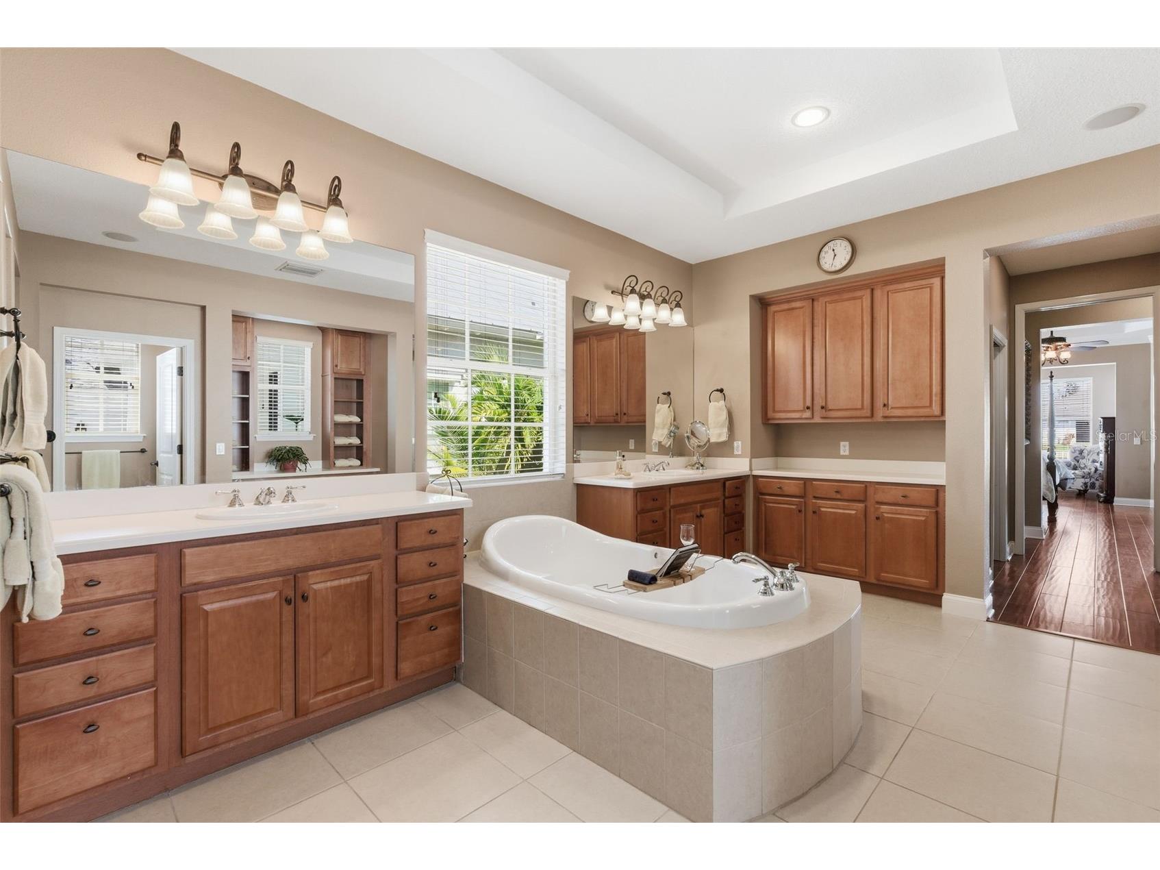 715 Islebay Drive Apollo Beach FL 33572 TB8489276 image44