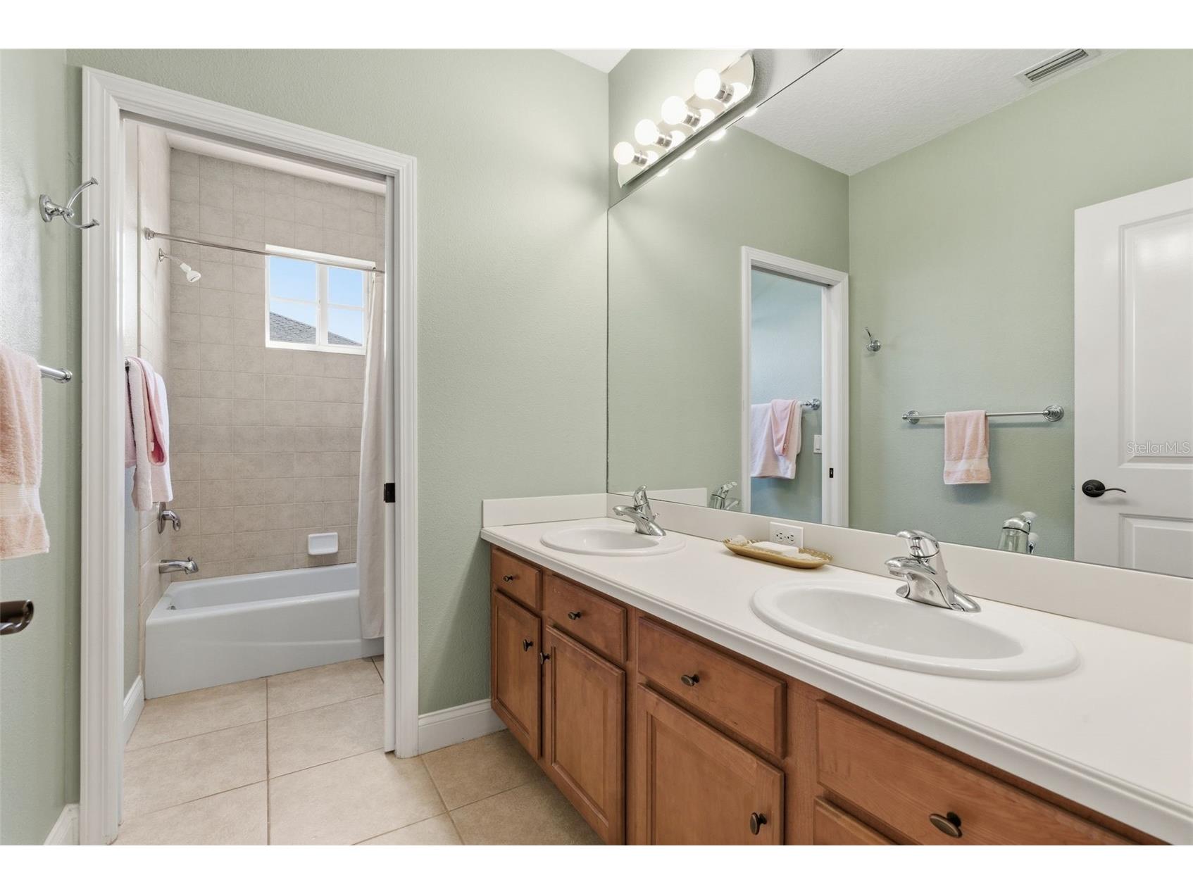 715 Islebay Drive Apollo Beach FL 33572 TB8489276 image59