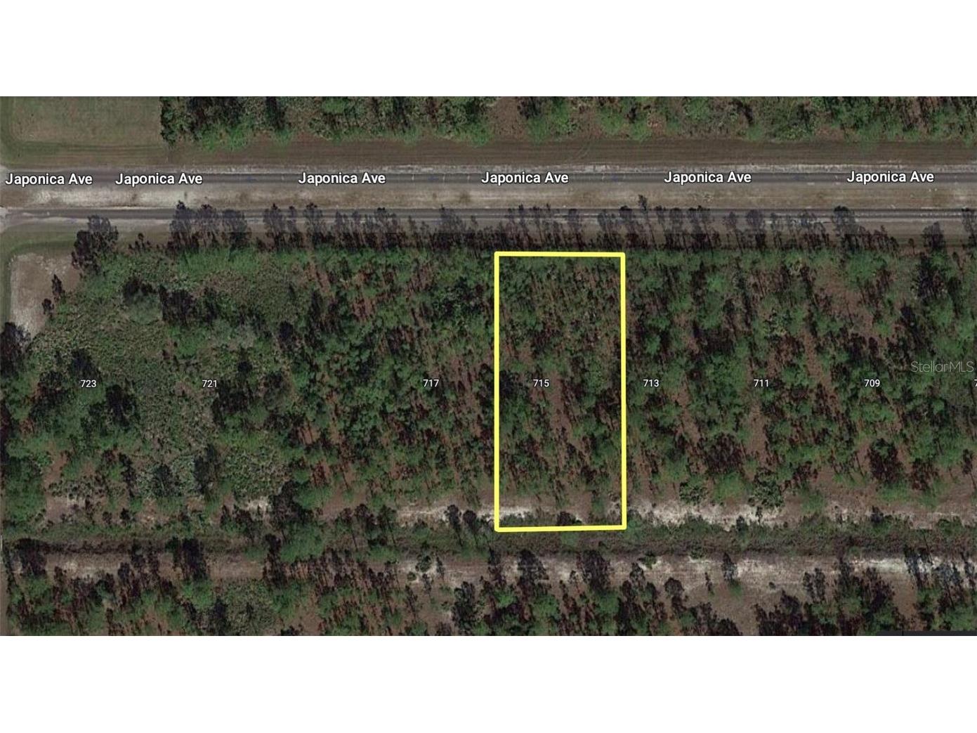 715 Japonica Avenue Indian Lake Estates FL 33855 - WALK-IN-WATER T3441558 image1