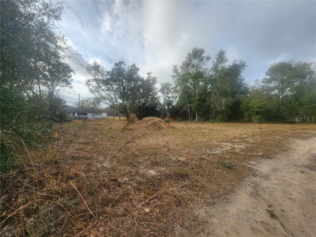 715 Long Avenue Inverness FL 34453 OM693353 image15