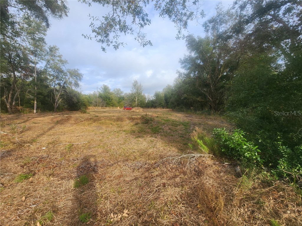 715 Long Avenue Inverness FL 34453 OM693353 image16