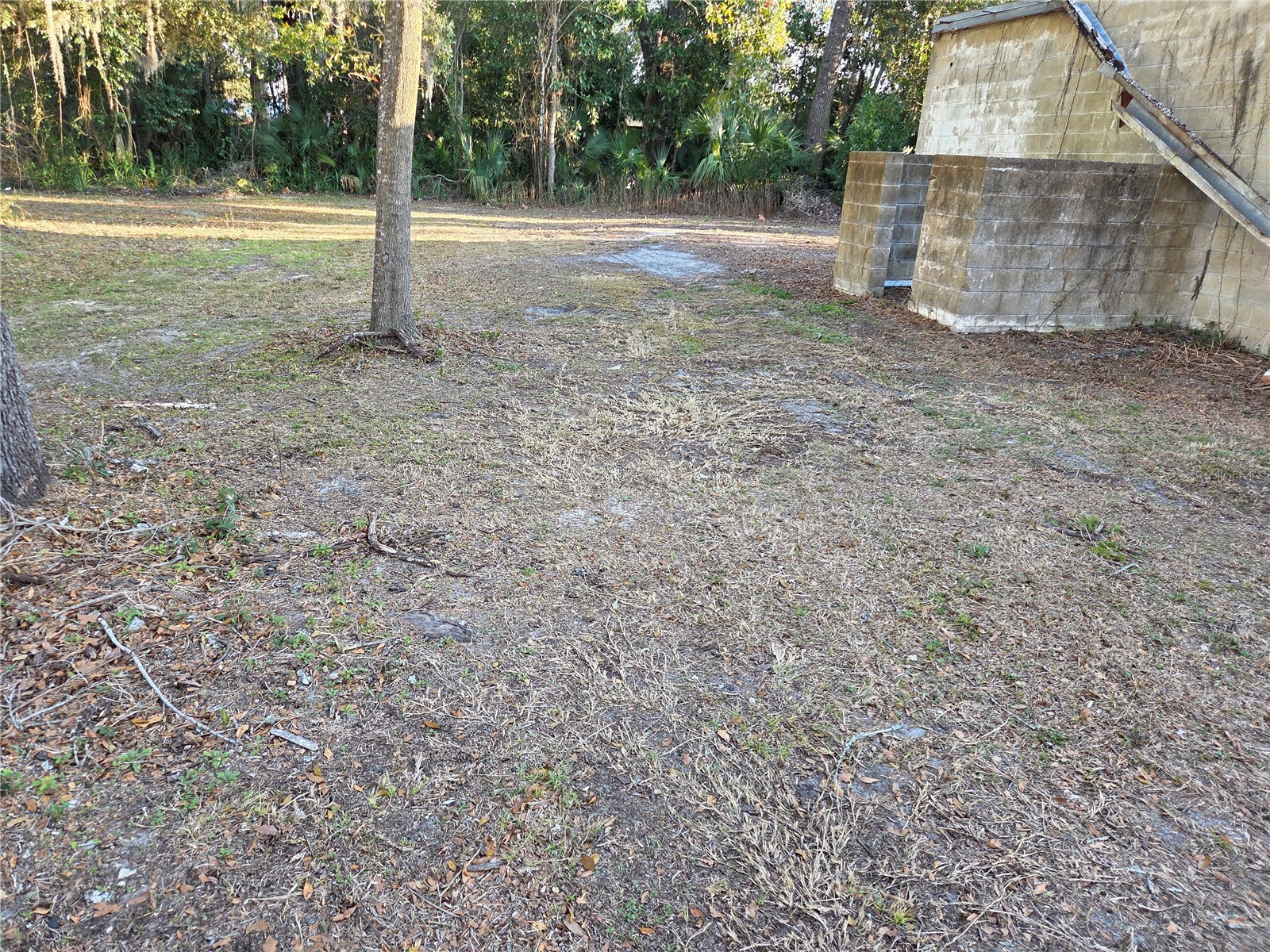 715 N Young Boulevard Chiefland FL 32626 OM718847 image12