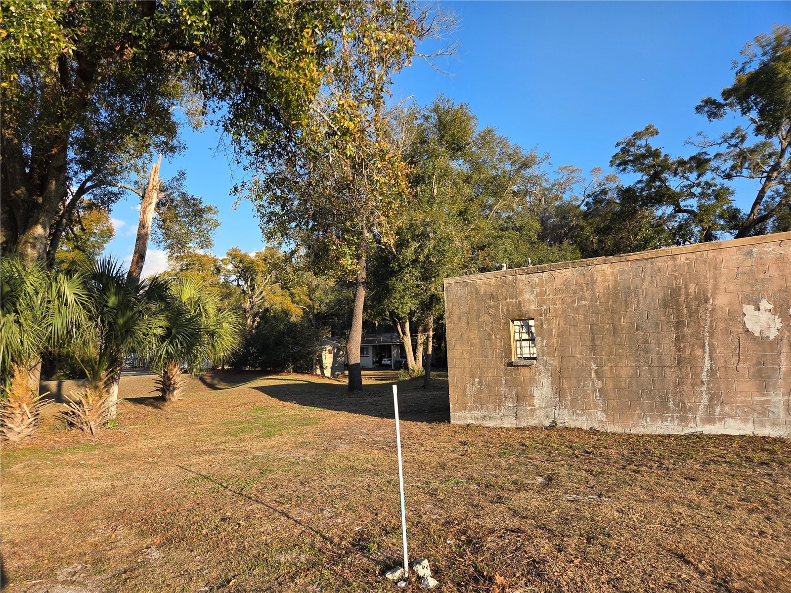 715 N Young Boulevard Chiefland FL 32626 OM718847 image9