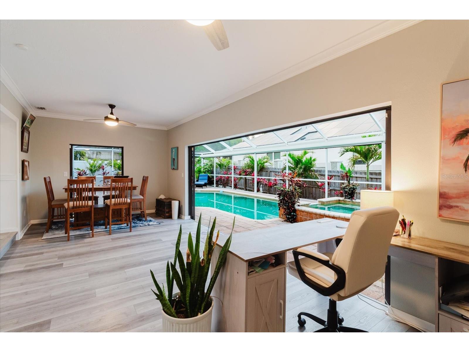 715 Rolling Hills Drive Palm Harbor FL 34683 TB8499257 image19