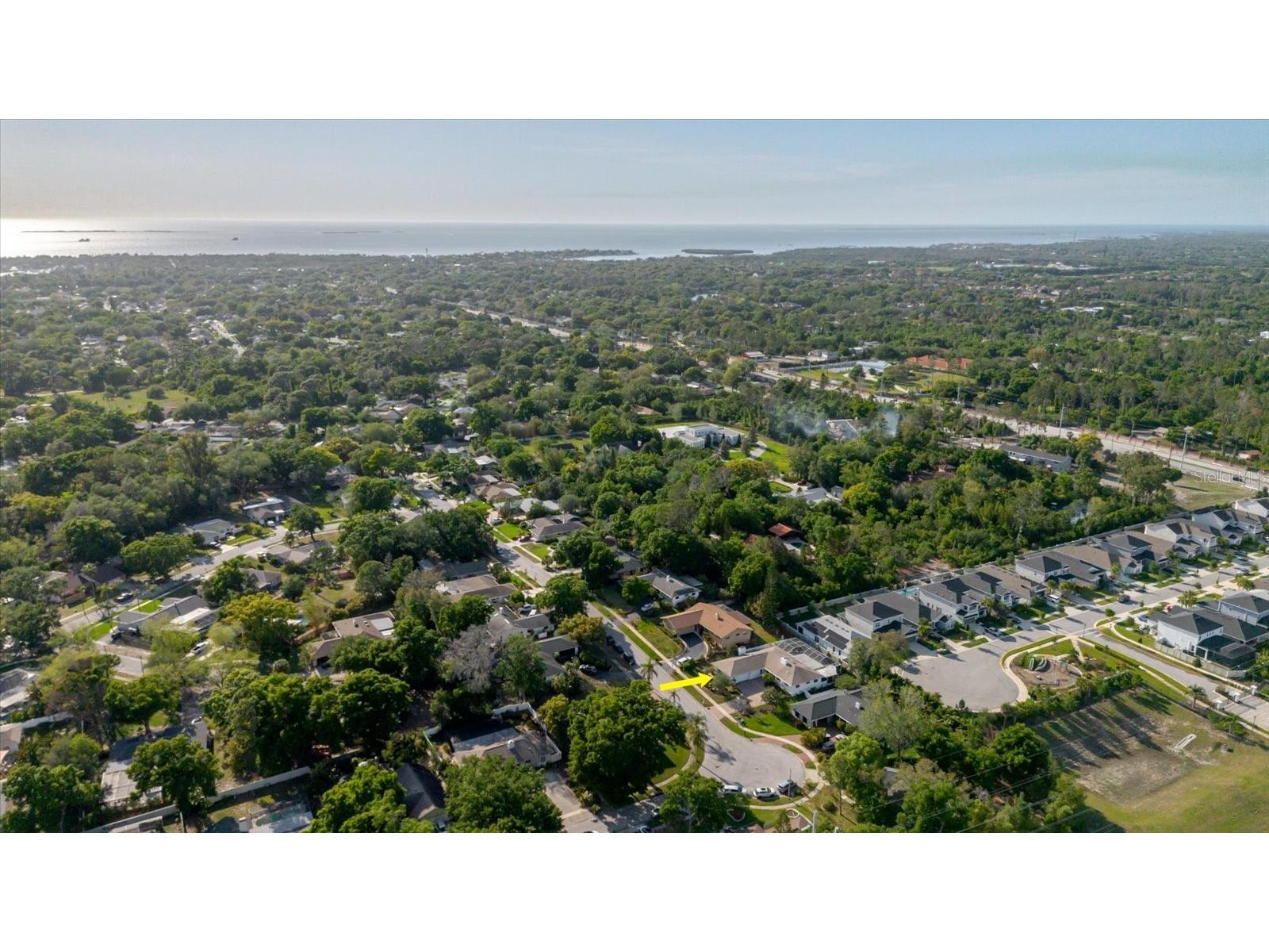715 Rolling Hills Drive Palm Harbor FL 34683 TB8499257 image24