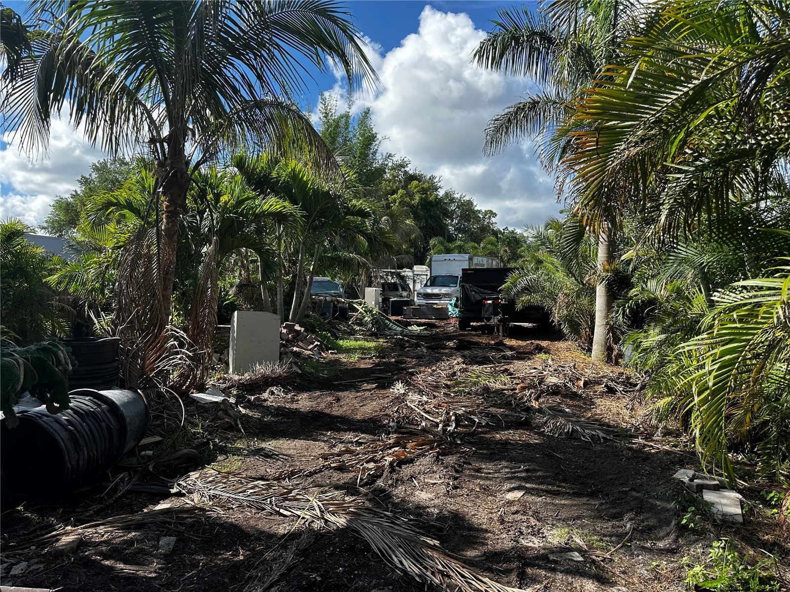 715 Smith Street Clearwater FL 33756 TB8513350 image3