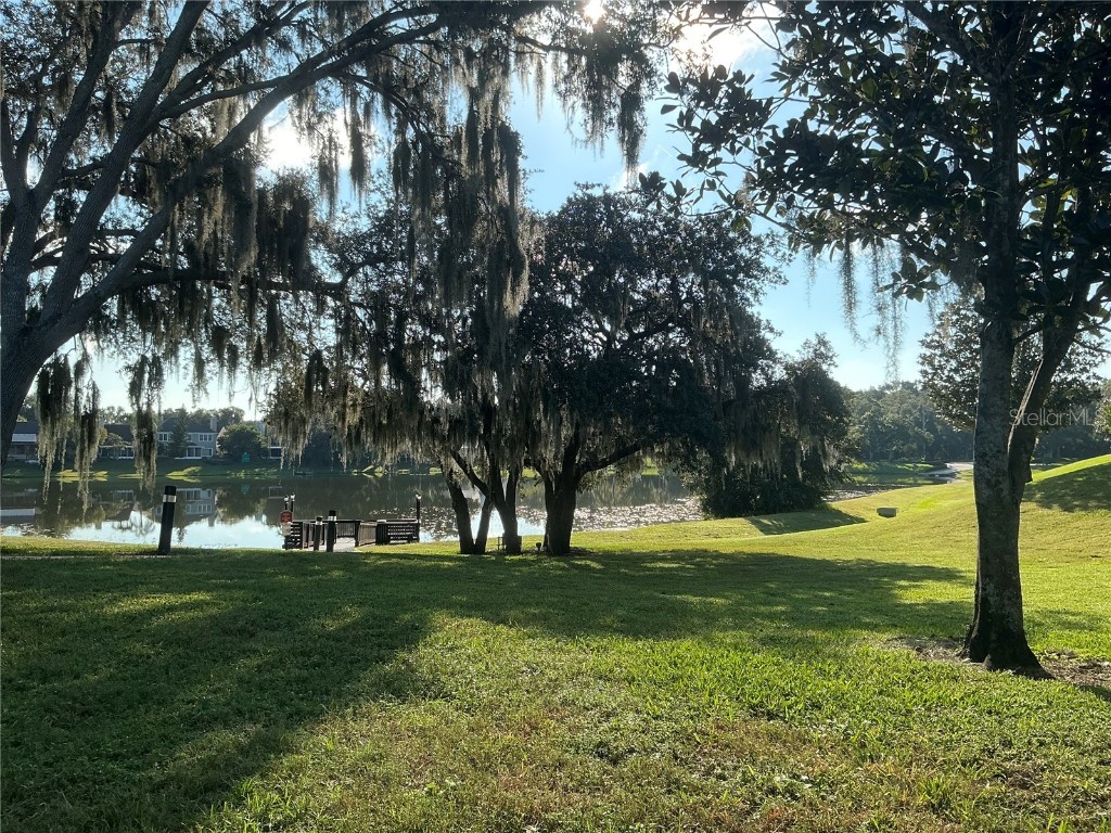 715 Sugar Bay Way #107 Lake Mary FL 32746 O6356606 image46