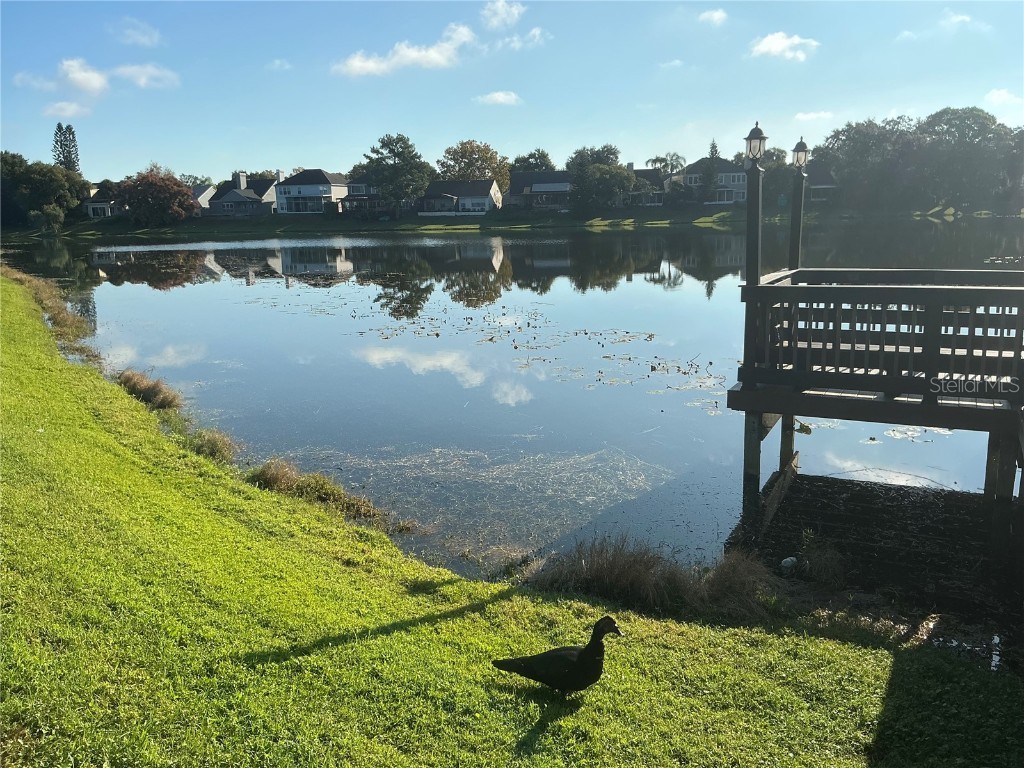 715 Sugar Bay Way #107 Lake Mary FL 32746 O6356606 image48