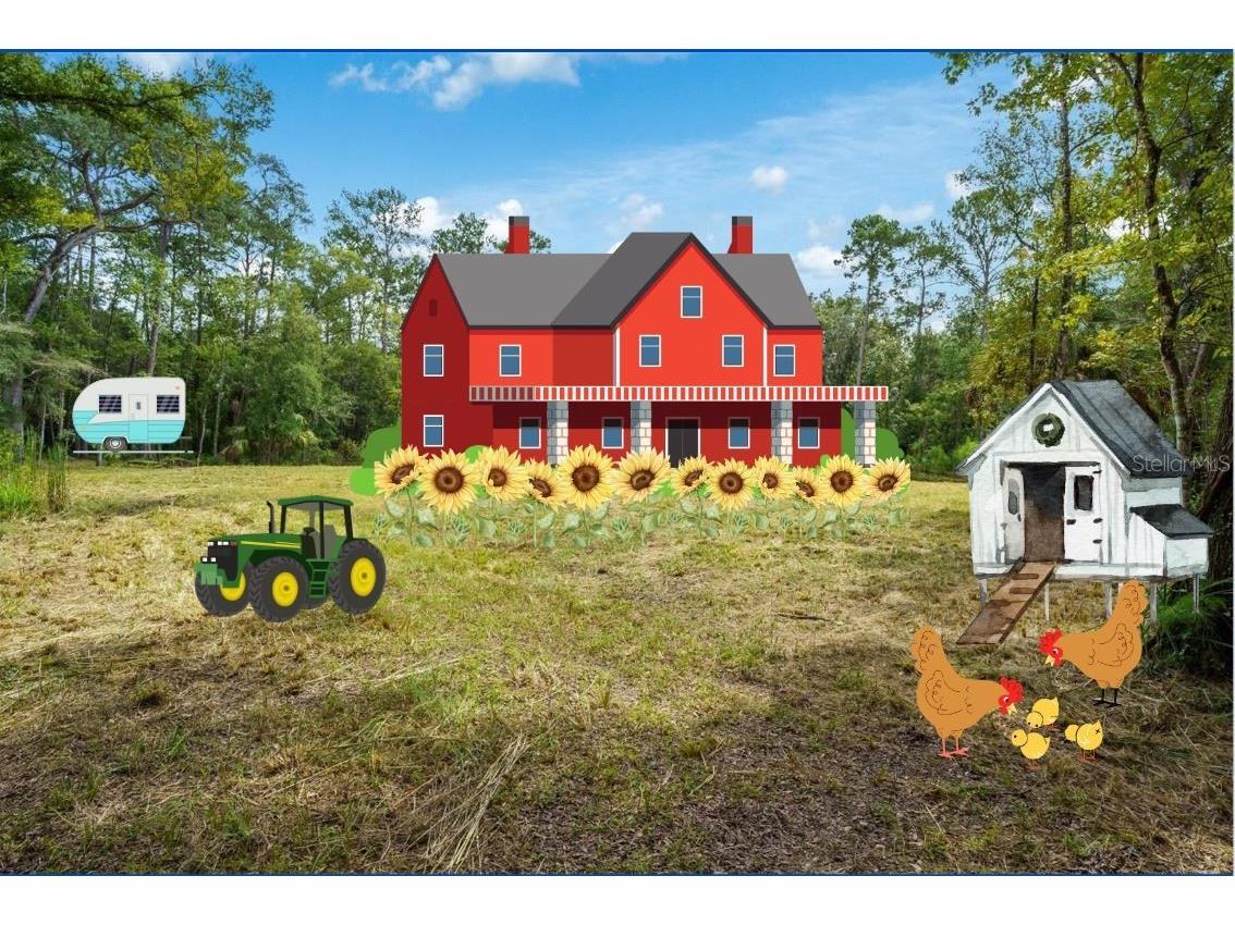 7150 Dentala Street Brooksville FL 34604 T3473209 image1