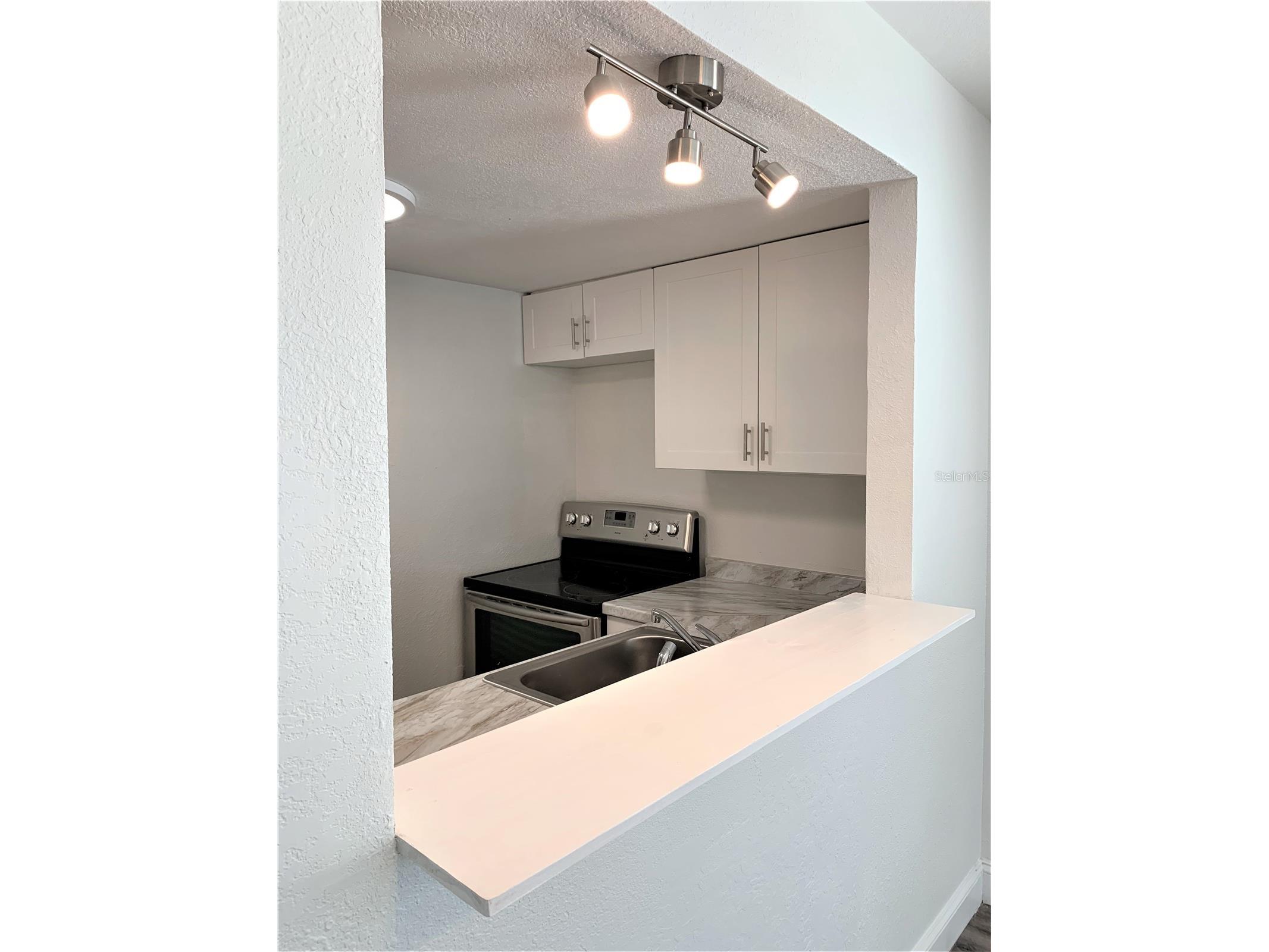 7150 E Bank Drive #101 Tampa FL 33617 TB8484443 image10