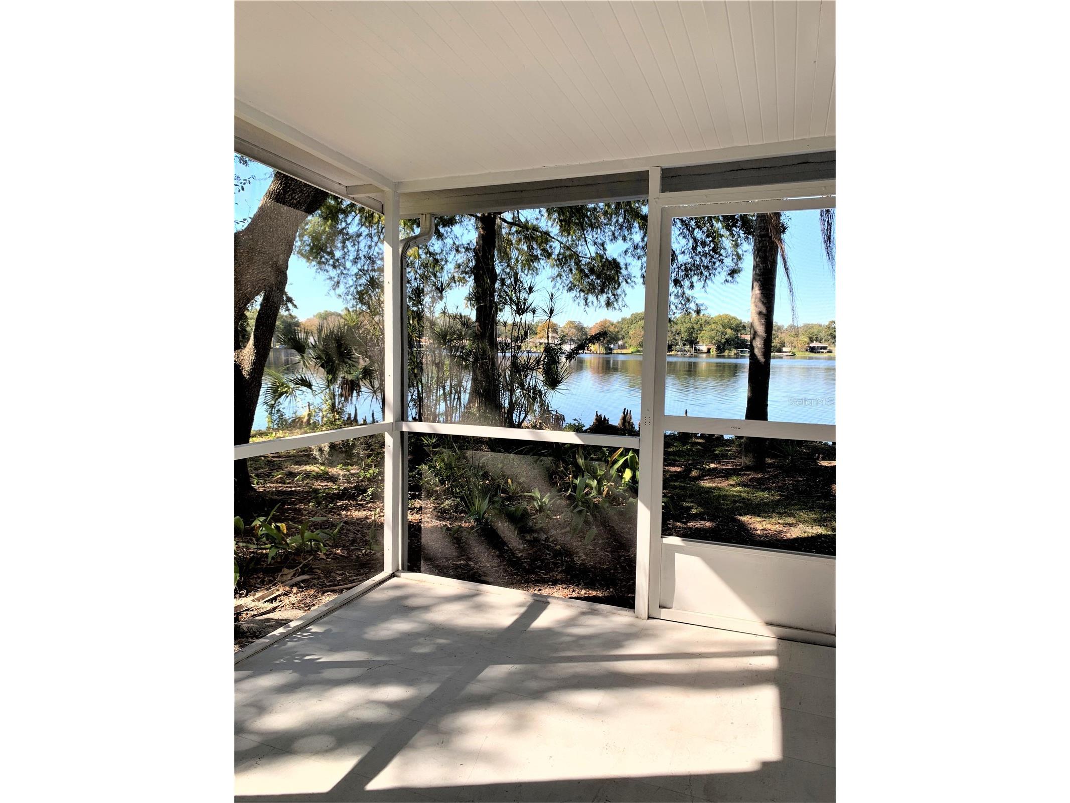 7150 E Bank Drive #101 Tampa FL 33617 TB8484443 image13