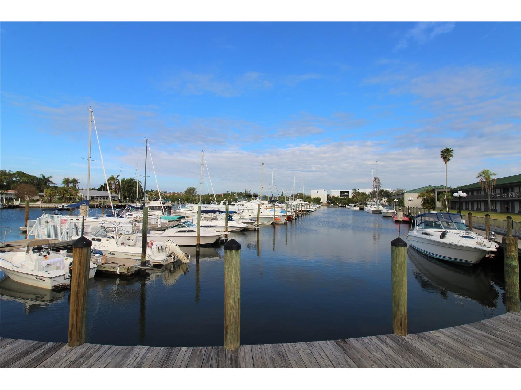 7150 N Tamiami Trail #C226 Sarasota FL 34243 A4687237 image2