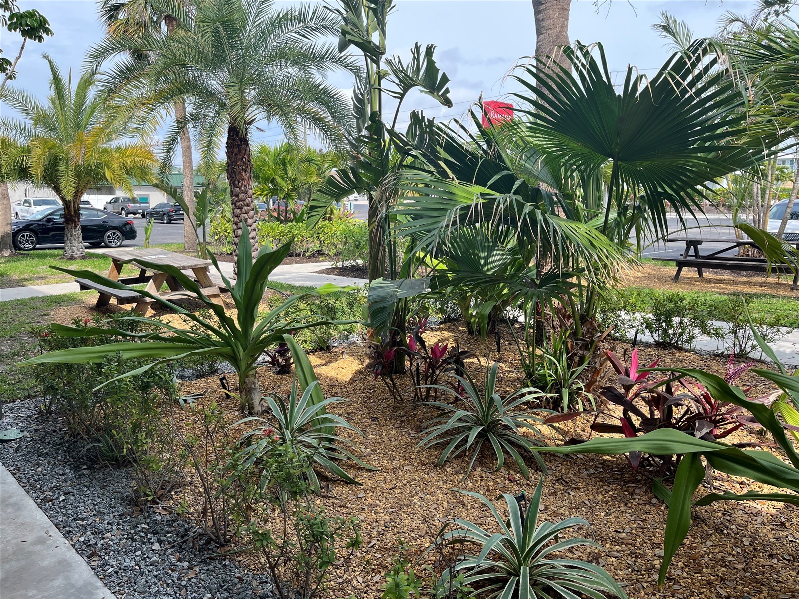 7150 N Tamiami Trail #S512 Sarasota FL 34243 A4641756 image6