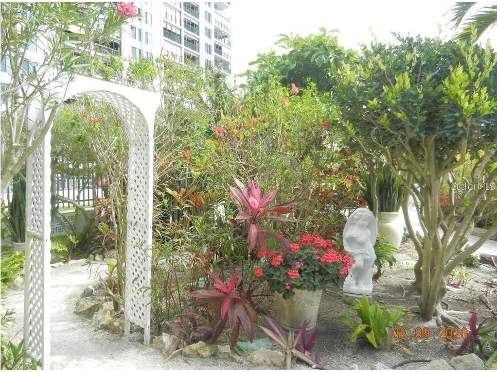 7150 Sunset Way #203 Saint Petersburg FL 33706 TB8395593 image37