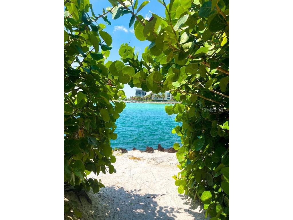 7150 Sunset Way #405 Saint Pete Beach FL 33706 TB8382604 image29