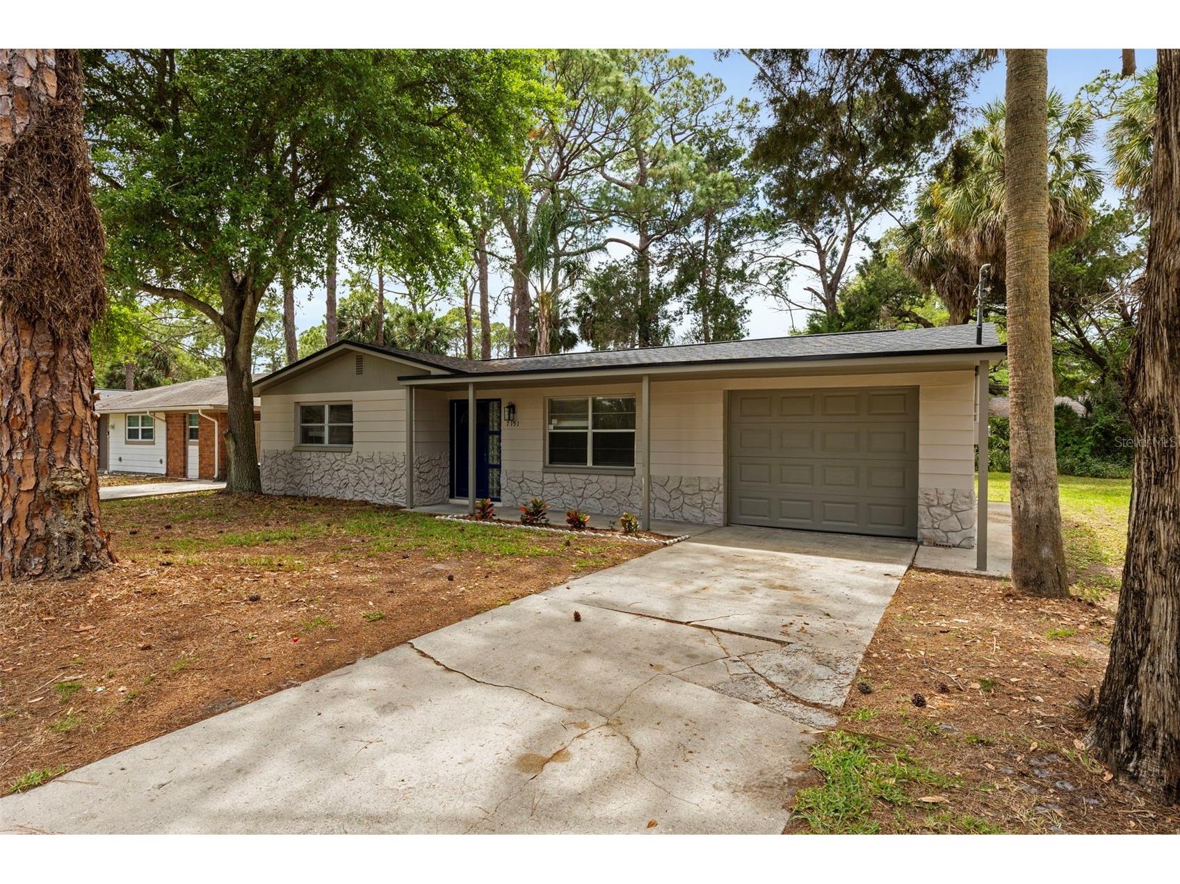 7151 Pinewood Drive New Port Richey FL 34652 TB8499052 image3