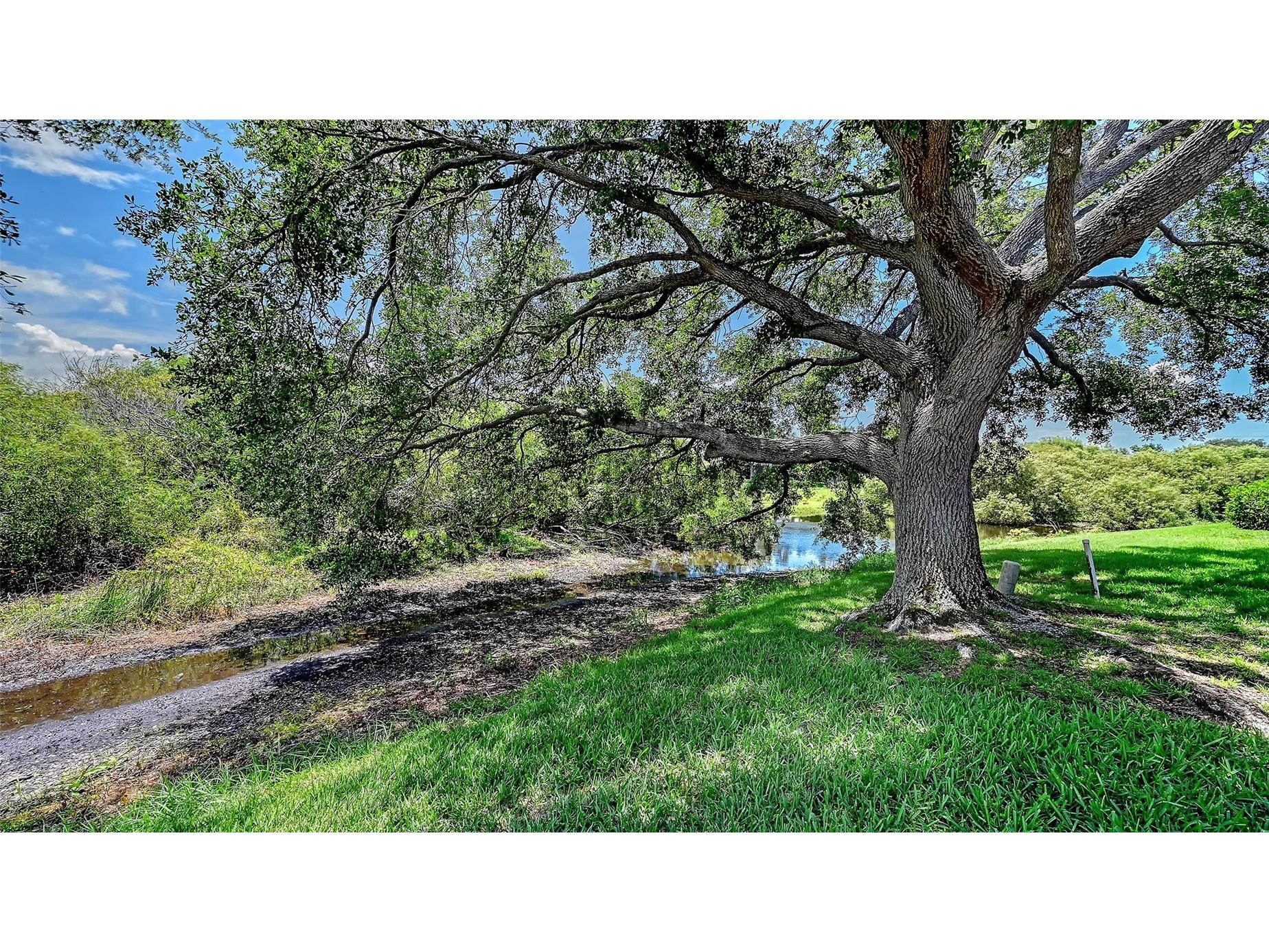 7151 Wainscott Court Sarasota FL 34238 A4695421 image59