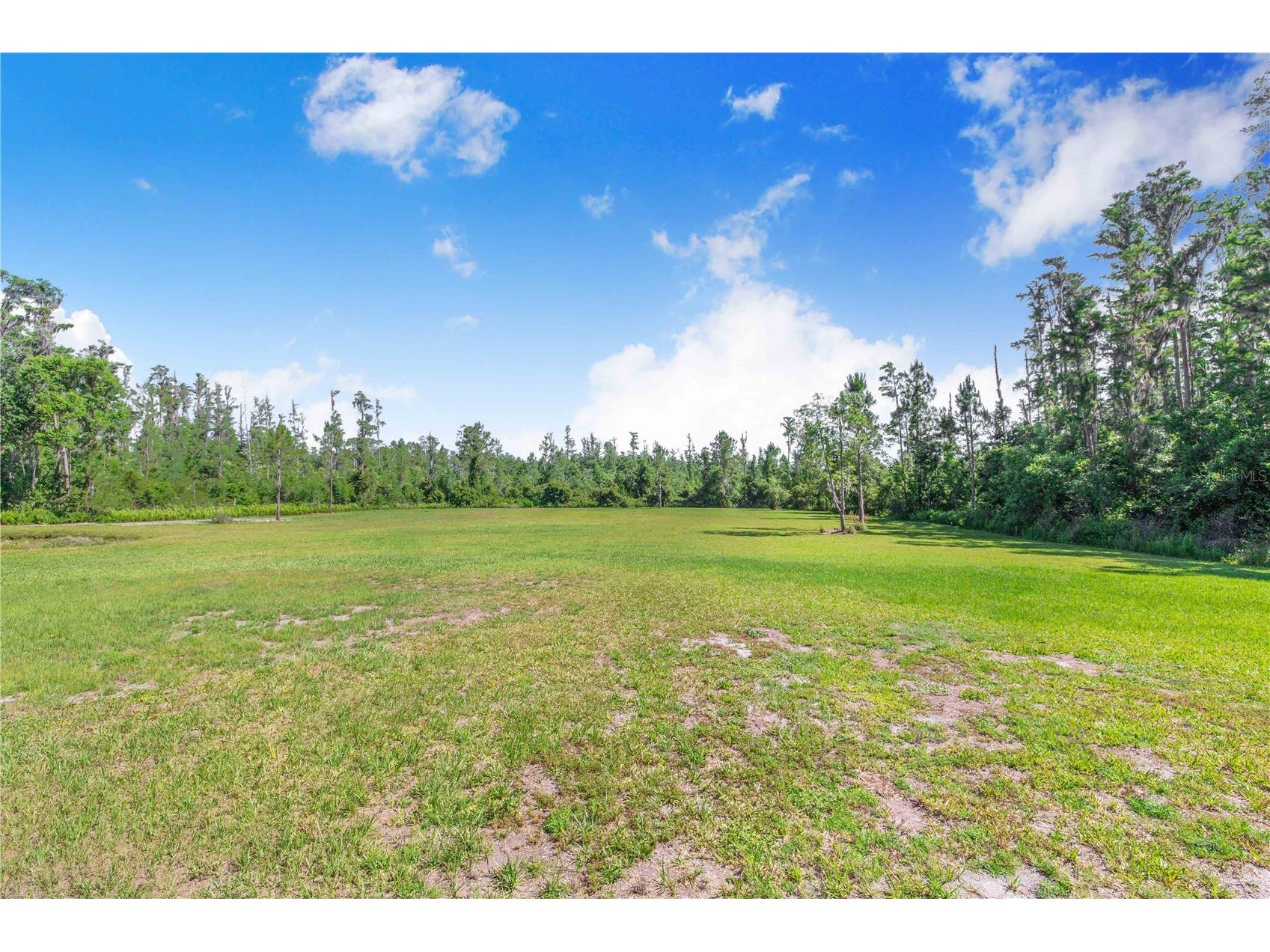7152 Fussell Road Polk City FL 33868 P4938777 image47